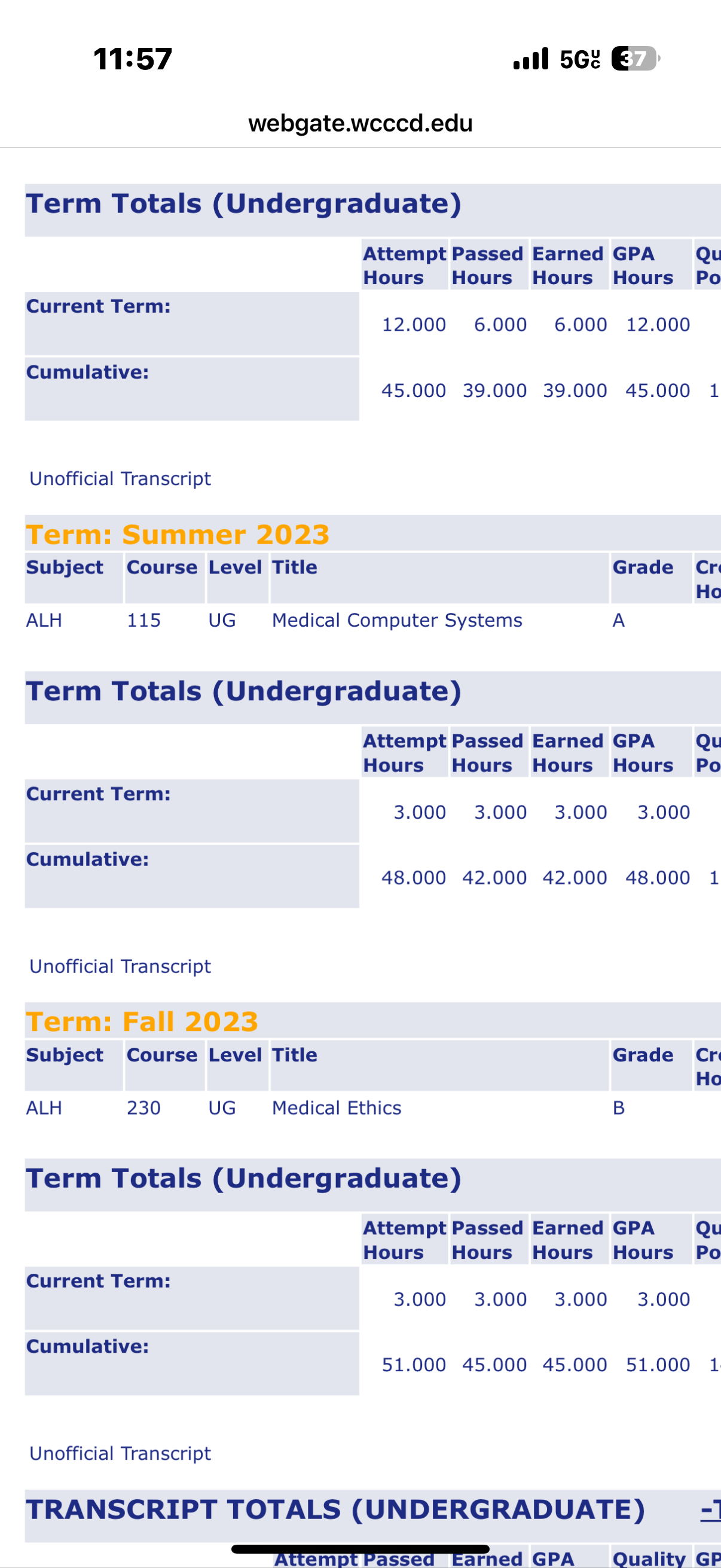 4D Waterproof Eyebrow Tattoo Stickers