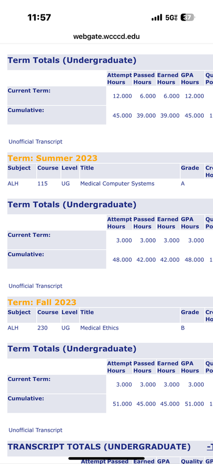 4D Waterproof Eyebrow Tattoo Stickers