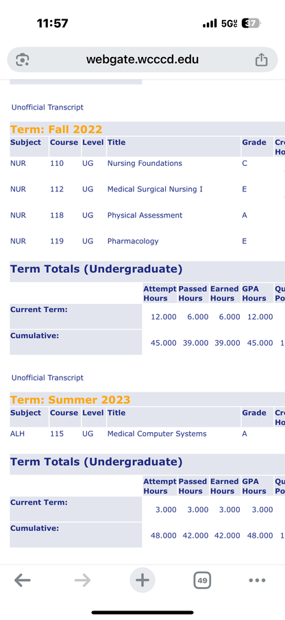 4D Waterproof Eyebrow Tattoo Stickers