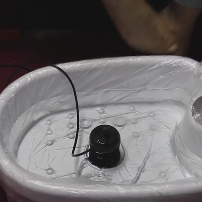 Ionic Detox Foot Spa Cleanse Machine